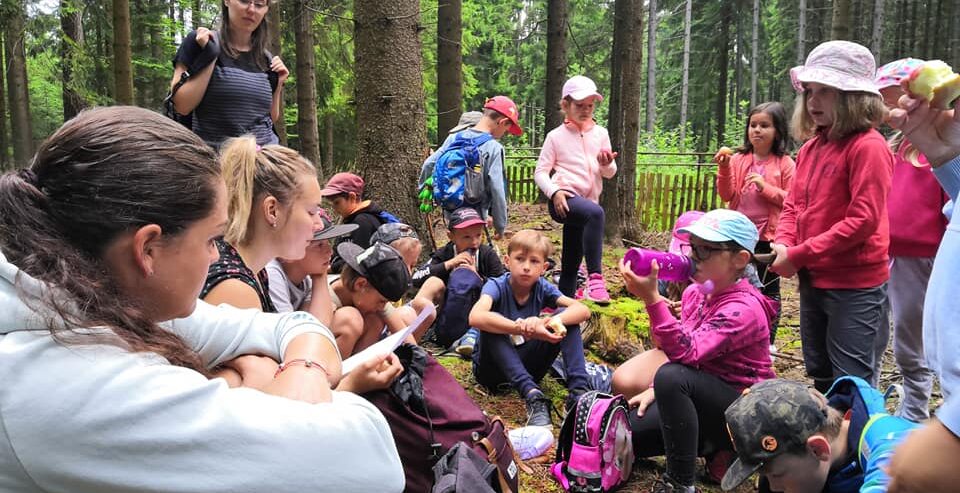 Letní dětské prohlídky - v lese