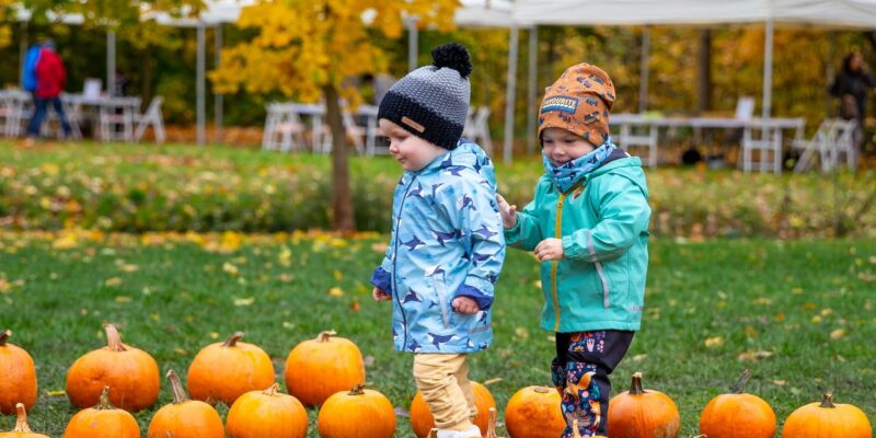 Dýně. Co si zasadíme, to si sklidíme. <br>25. 10. 10.00 - 26. 10. 17.00